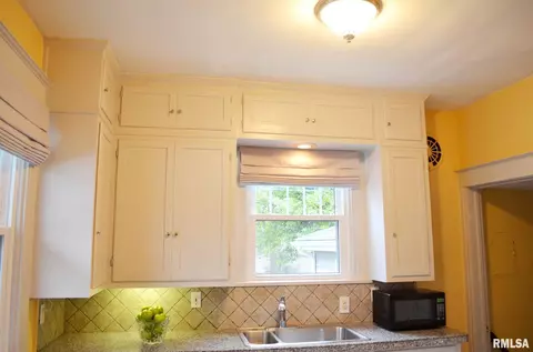 1529 S Douglas Ave, Springfield, IL 62704 photo 9