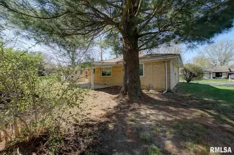 51 Birch Dr, Chatham, IL 62629 photo 12