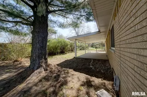 51 Birch Dr, Chatham, IL 62629 photo 11