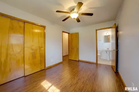 51 Birch Dr, Chatham, IL 62629 photo 26