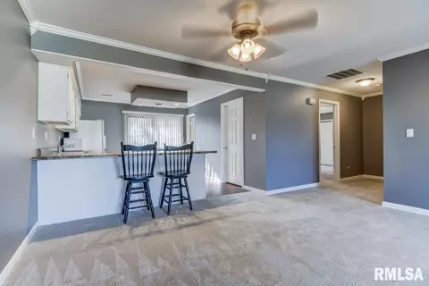 101 S Oxford Rd, Springfield, IL 62704 photo 7