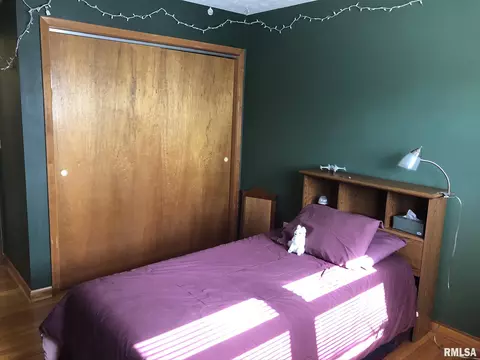 208 Cartwright Dr, Springfield, IL 62704 photo 24