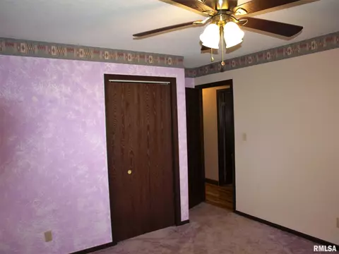224 170th St, Avon, IL 61415 photo 14