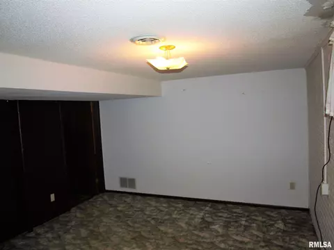 224 170th St, Avon, IL 61415 photo 24