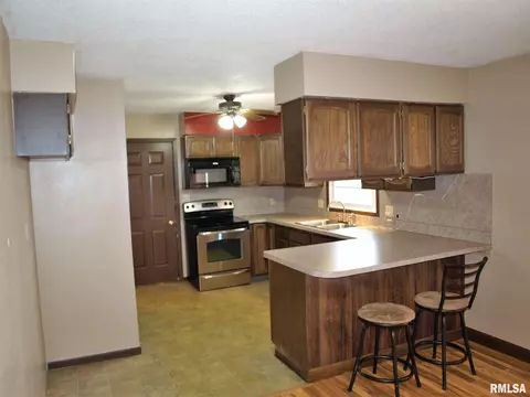 224 170th St, Avon, IL 61415 photo 7