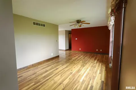 224 170th St, Avon, IL 61415 photo 5
