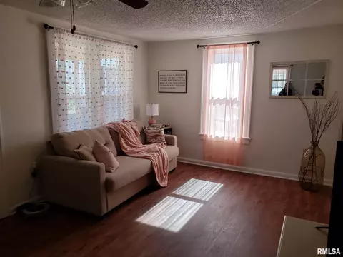 3233 S 3rd St, Springfield, IL 62703 photo 3
