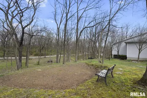 3204 Hazlett Rd, Springfield, IL 62707 photo 43
