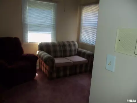 118 Lost Tree St, Springfield, IL 62704 photo 10
