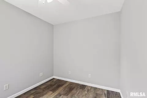 307 E Locust St, Chatham, IL 62629 photo 12