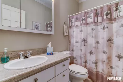 3108 Wildcat Pt, Springfield, IL 62711 photo 21