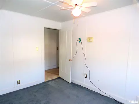 434 N Center St, Oneida, IL 61467 photo 29