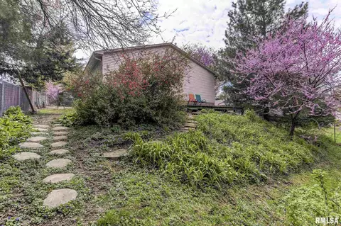 717 E Madison St, Riverton, IL 62561 photo 26
