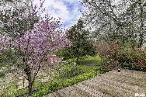 717 E Madison St, Riverton, IL 62561 photo 28