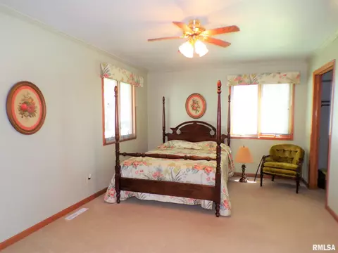 224 N Pilot St, Oneida, IL 61467 photo 21