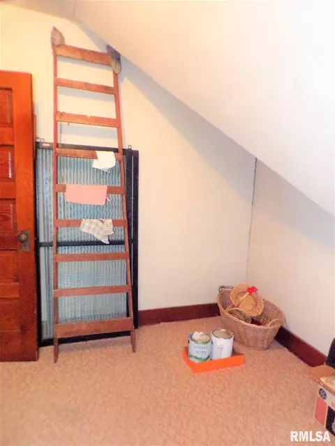 224 N Pilot St, Oneida, IL 61467 photo 35