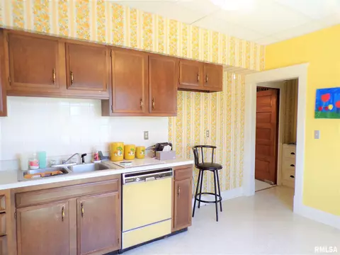 224 N Pilot St, Oneida, IL 61467 photo 18