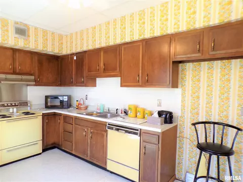 224 N Pilot St, Oneida, IL 61467 photo 19