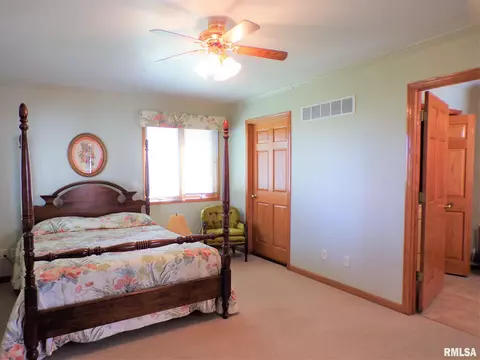 224 N Pilot St, Oneida, IL 61467 photo 22