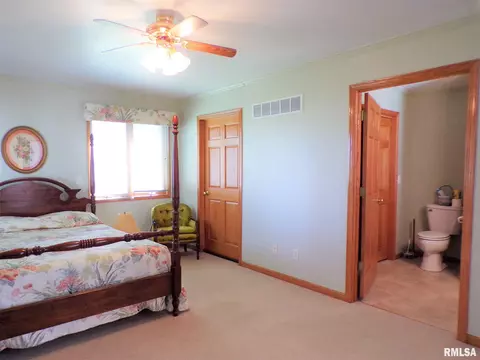 224 N Pilot St, Oneida, IL 61467 photo 23