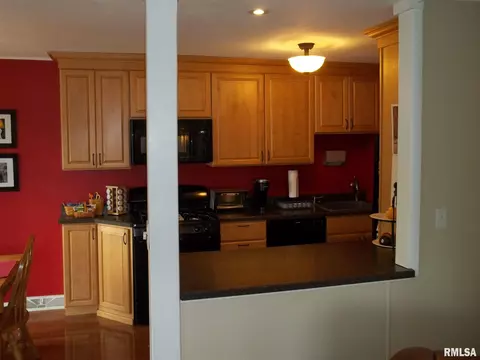 437 S Durkin Dr, Springfield, IL 62711 photo 6