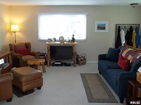437 S Durkin Dr, Springfield, IL 62711 photo 3