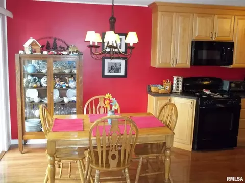437 S Durkin Dr, Springfield, IL 62711 photo 8
