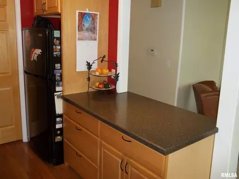 437 S Durkin Dr, Springfield, IL 62711 photo 5