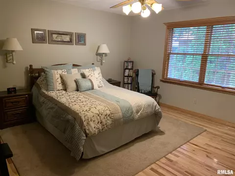 113 Timberridge Dr, Springfield, IL 62702 photo 9