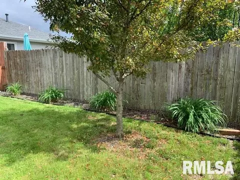 2805 Catherine Ln, Springfield, IL 62703 photo 5