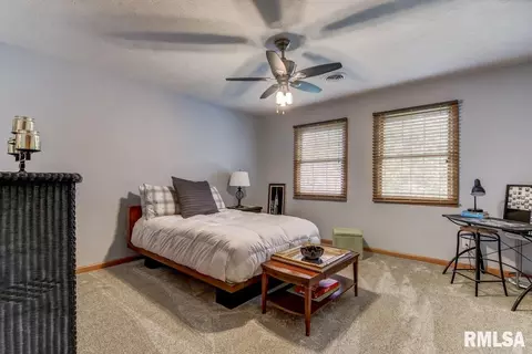 2331 Chesapeake Lndg, Springfield, IL 62712 photo 36