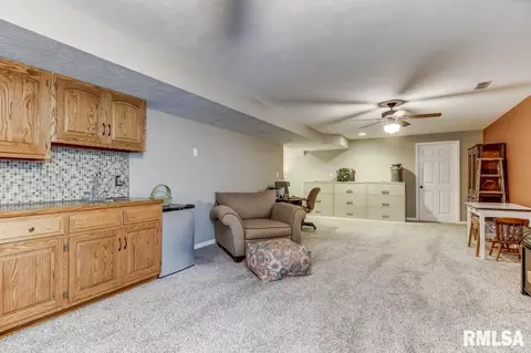 2331 Chesapeake Lndg, Springfield, IL 62712 photo 43