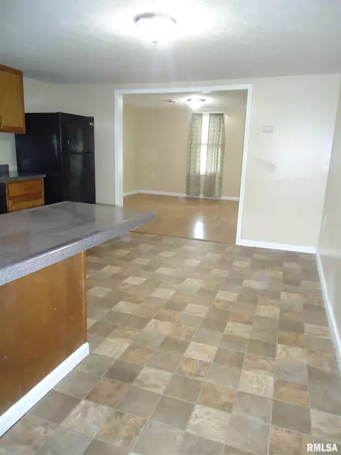 314 S Main St, Chatham, IL 62629 photo 9