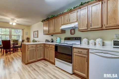 2005 Cormorant Dr, Springfield, IL 62711 photo 10