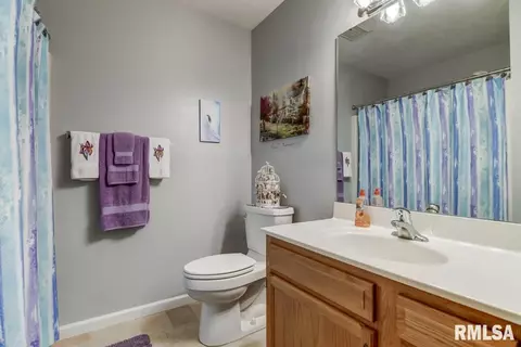 2005 Cormorant Dr, Springfield, IL 62711 photo 13