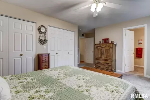 2005 Cormorant Dr, Springfield, IL 62711 photo 20