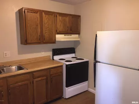 1015 E 8th St, Metropolis, IL 62960 photo 12