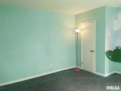 910 S Madison St, Marion, IL 62959 photo 13