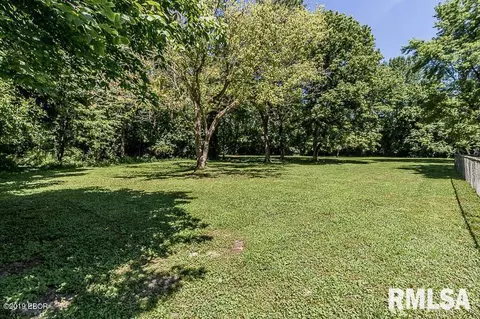 1405 Trolley Rd, Eldorado, IL 62930 photo 25