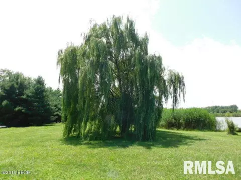 1383 Old Salem Rd, Kell, IL 62853 photo 28