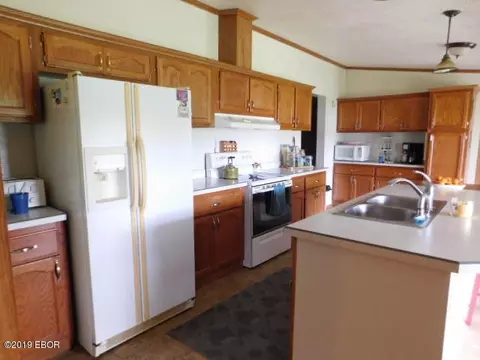 1383 Old Salem Rd, Kell, IL 62853 photo 4