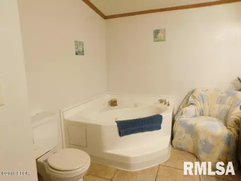 1383 Old Salem Rd, Kell, IL 62853 photo 15