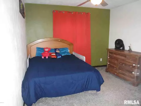 218 Cope Dr, Salem, IL 62881 photo 13