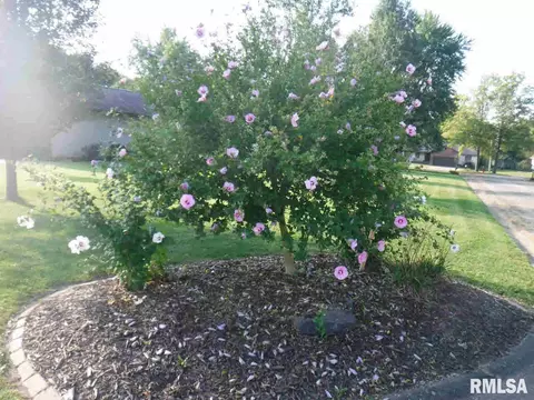 218 Cope Dr, Salem, IL 62881 photo 21