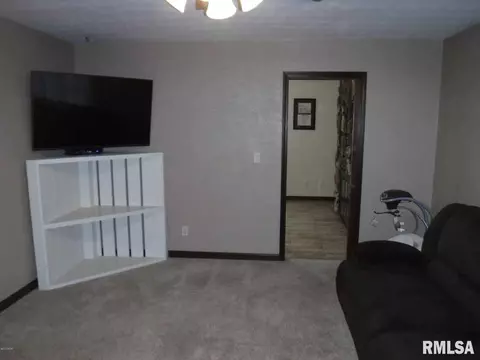 218 Cope Dr, Salem, IL 62881 photo 11