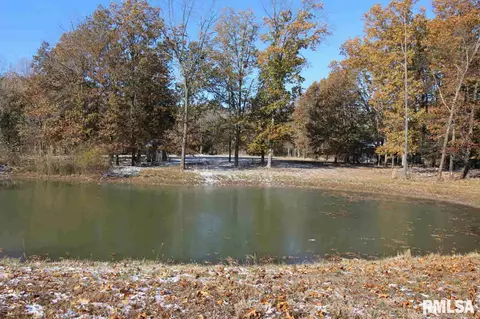 12643 Prosperity Rd, Marion, IL 62959 photo 1