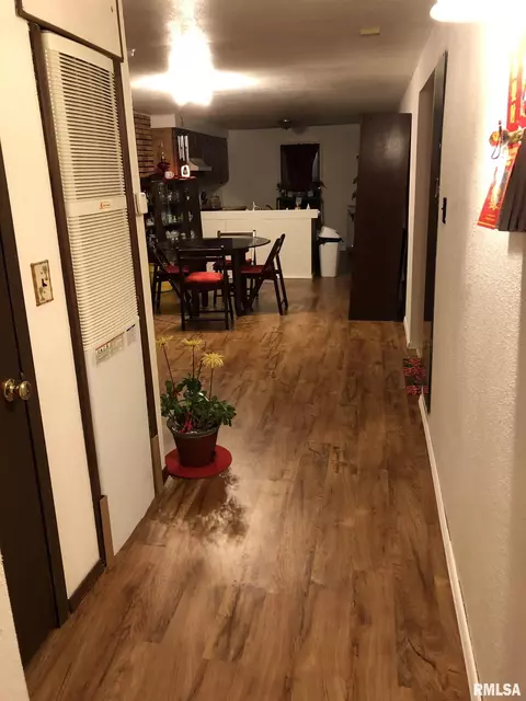 119 Lyle Dr, Hoffman, IL 62250 photo 7