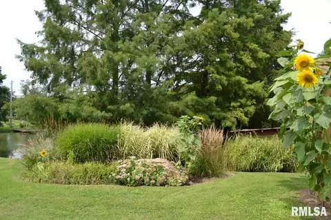 547 Community Beach Rd, Centralia, IL 62801 photo 22