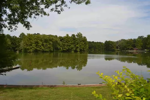 547 Community Beach Rd, Centralia, IL 62801 photo 5