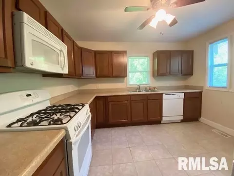 231 George St, Anna, IL 62906 photo 8
